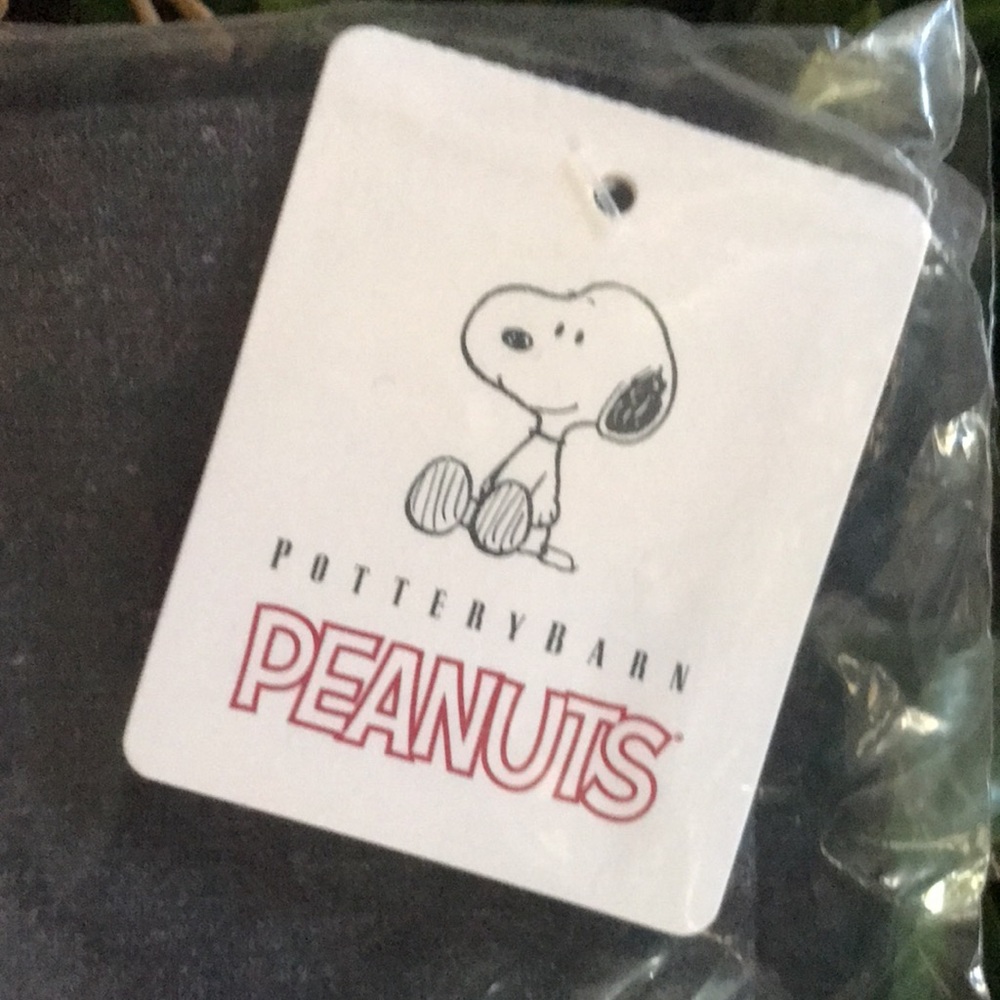 Pottery Barn Peanuts “LOVE” Happy Valentines Charlie Brown Pillow Cover … - Picture 16 of 16